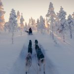 Hundeschlitten fährt durch tief verschneite Landschaft in Nordschweden