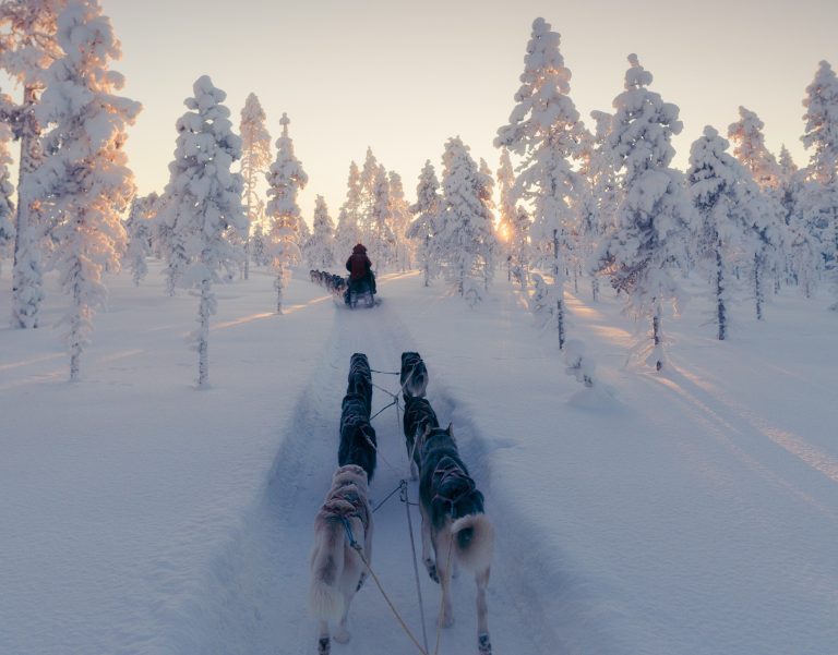 Hundeschlitten fährt durch tief verschneite Landschaft in Nordschweden